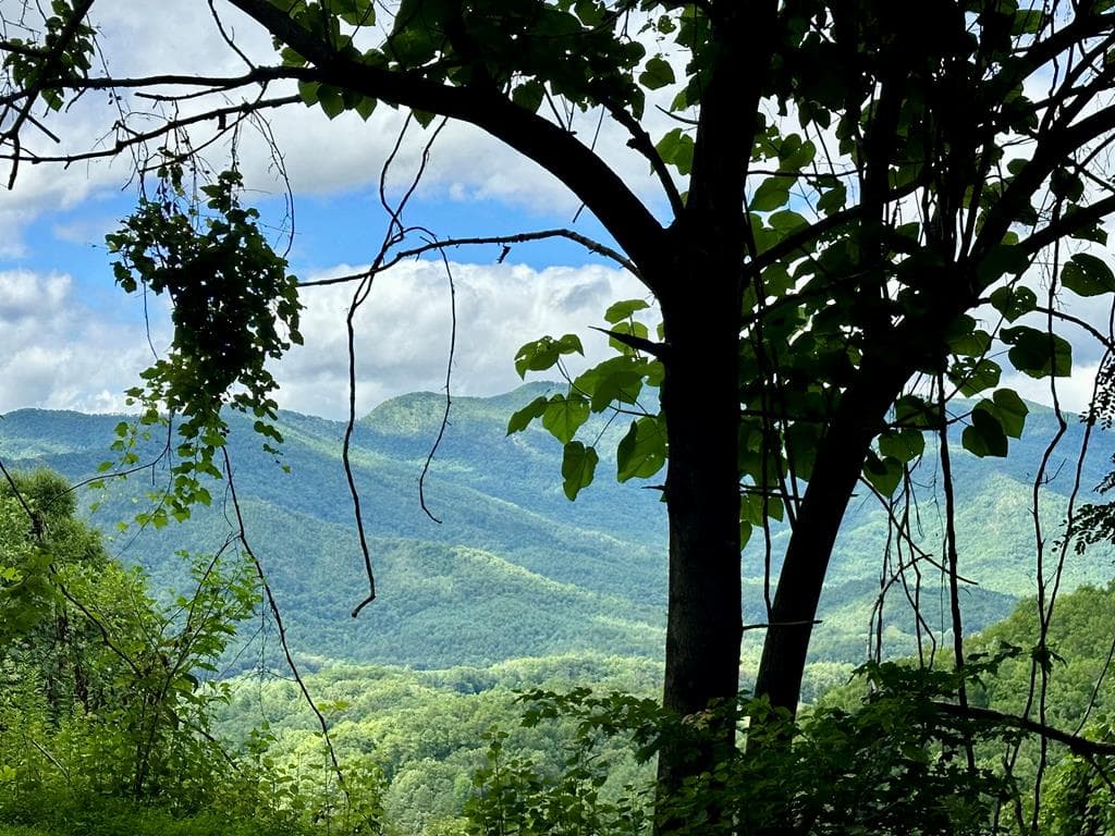 Lot 32 Shiloh Trail, Hayesville NC 28904 - Photo