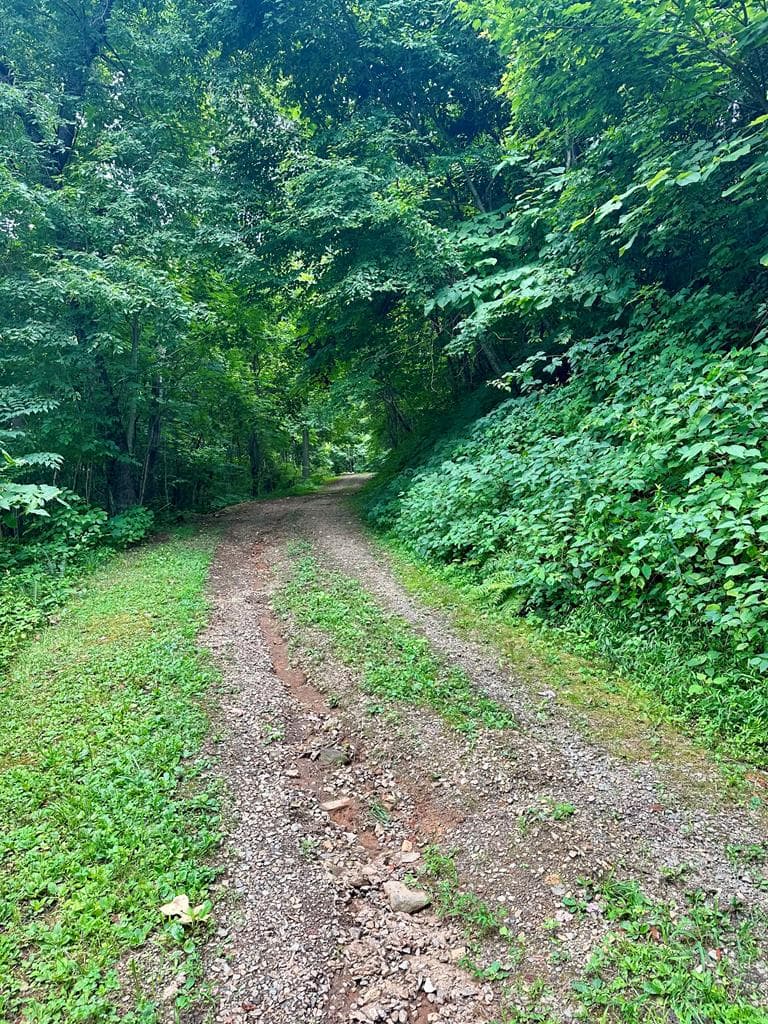 Lot 32 Shiloh Trail, Hayesville NC 28904 - Photo