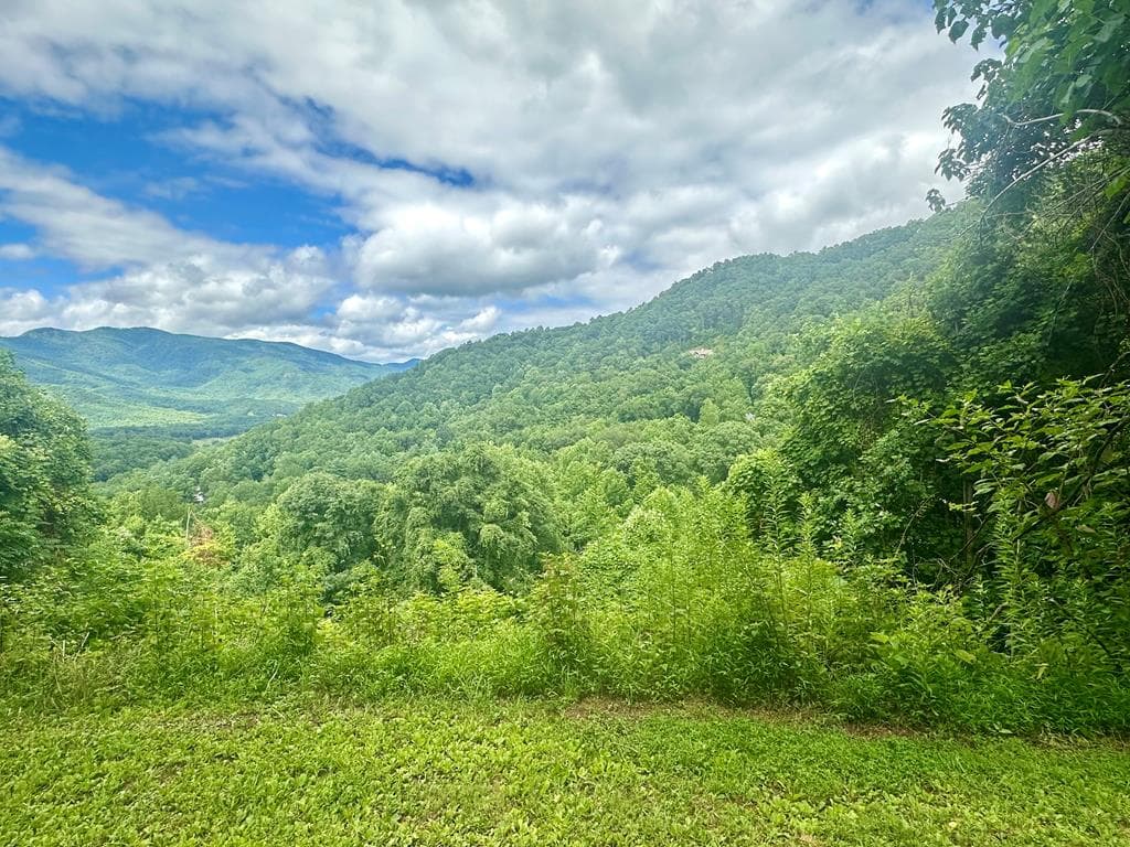 Lot 32 Shiloh Trail, Hayesville NC 28904 - Photo