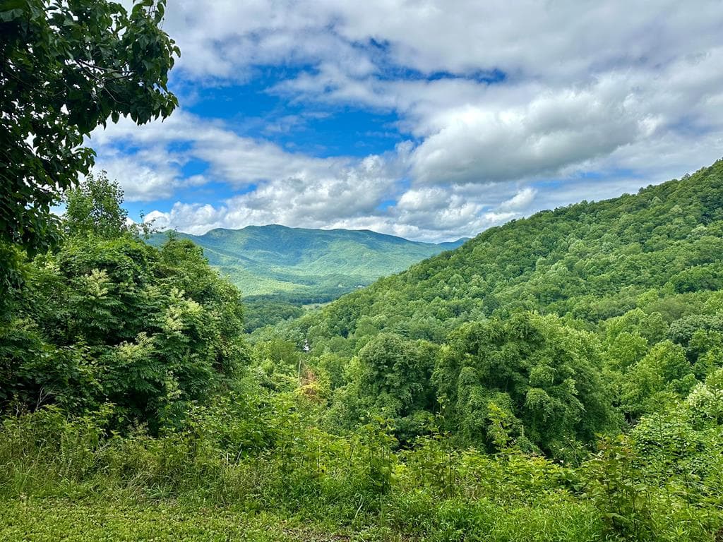 Lot 32 Shiloh Trail, Hayesville NC 28904 - Photo