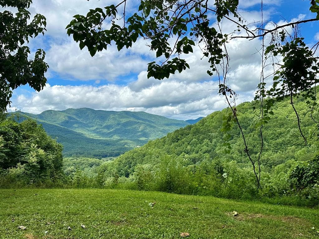 Lot 32 Shiloh Trail, Hayesville NC 28904 - Primary photo