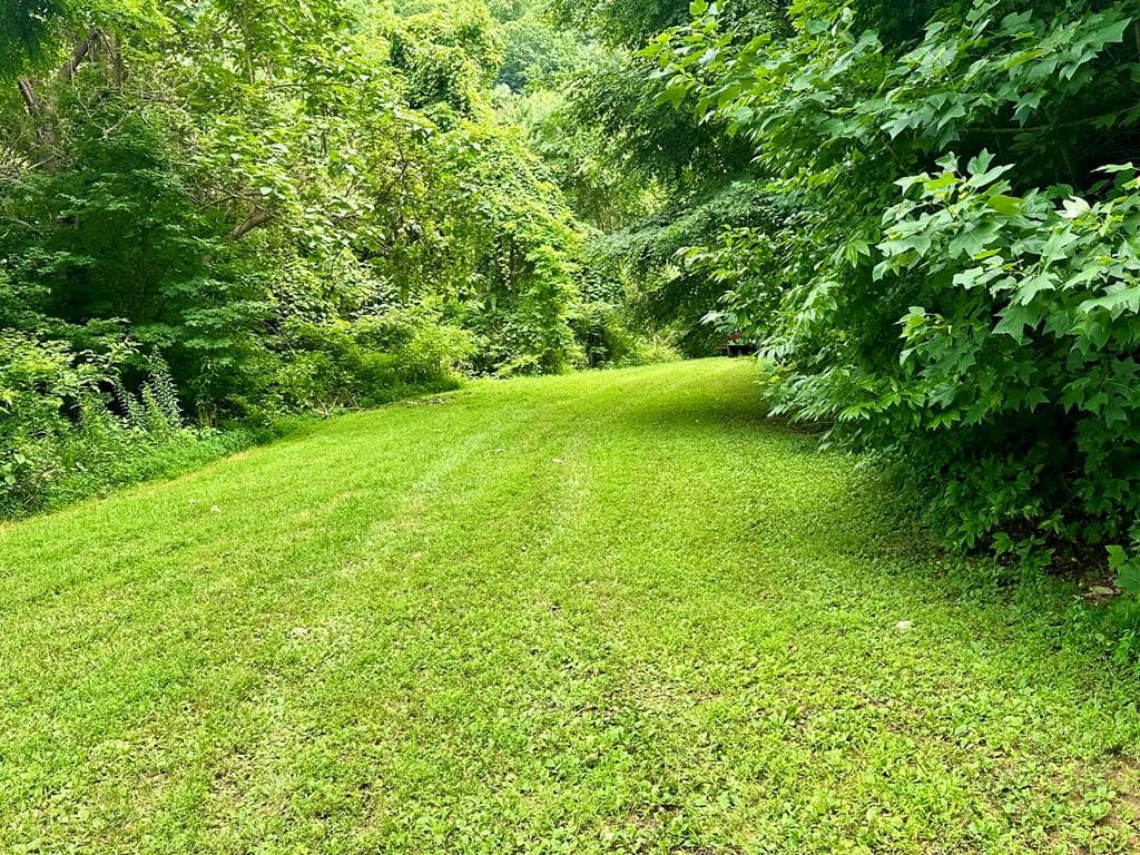 Lot 32 Shiloh Trail, Hayesville NC 28904 - Photo