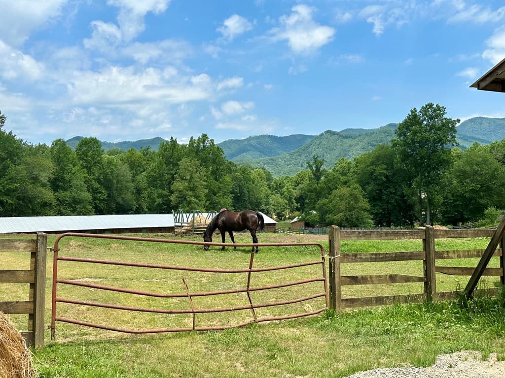 Lot 32 Shiloh Trail, Hayesville NC 28904 - Photo