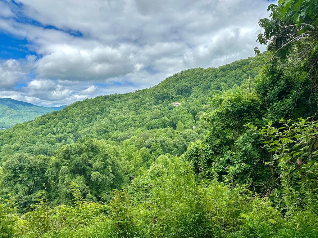 Lot 32 Shiloh Trail, Hayesville NC 28904 - Photo