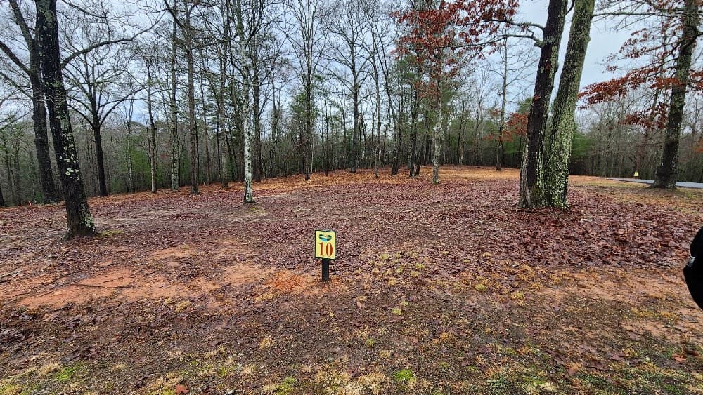 10 Arbor Creek Trail, Mineral Bluff GA 30559 - Photo