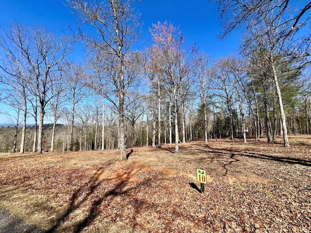 10 Arbor Creek Trail, Mineral Bluff GA 30559 - Photo