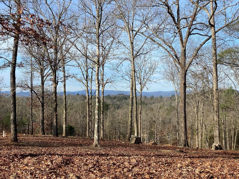 10 Arbor Creek Trail, Mineral Bluff GA 30559 - Primary photo