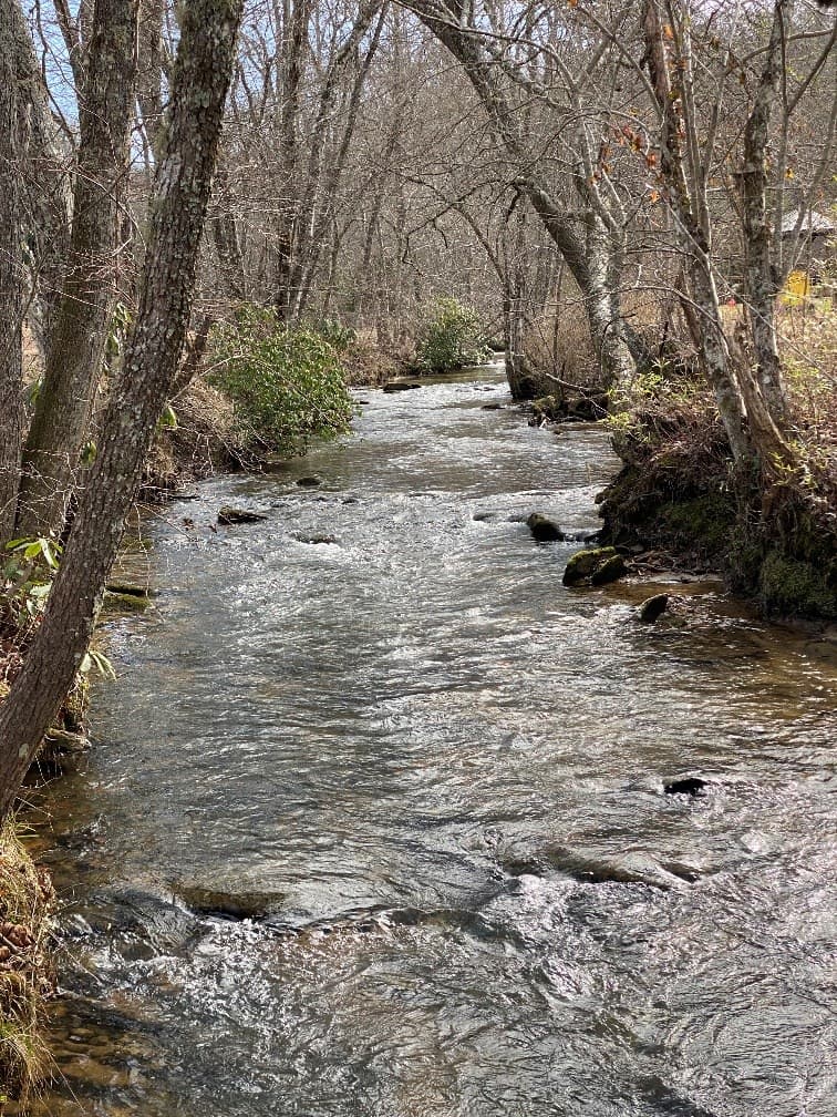 10 Arbor Creek Trail, Mineral Bluff GA 30559 - Photo