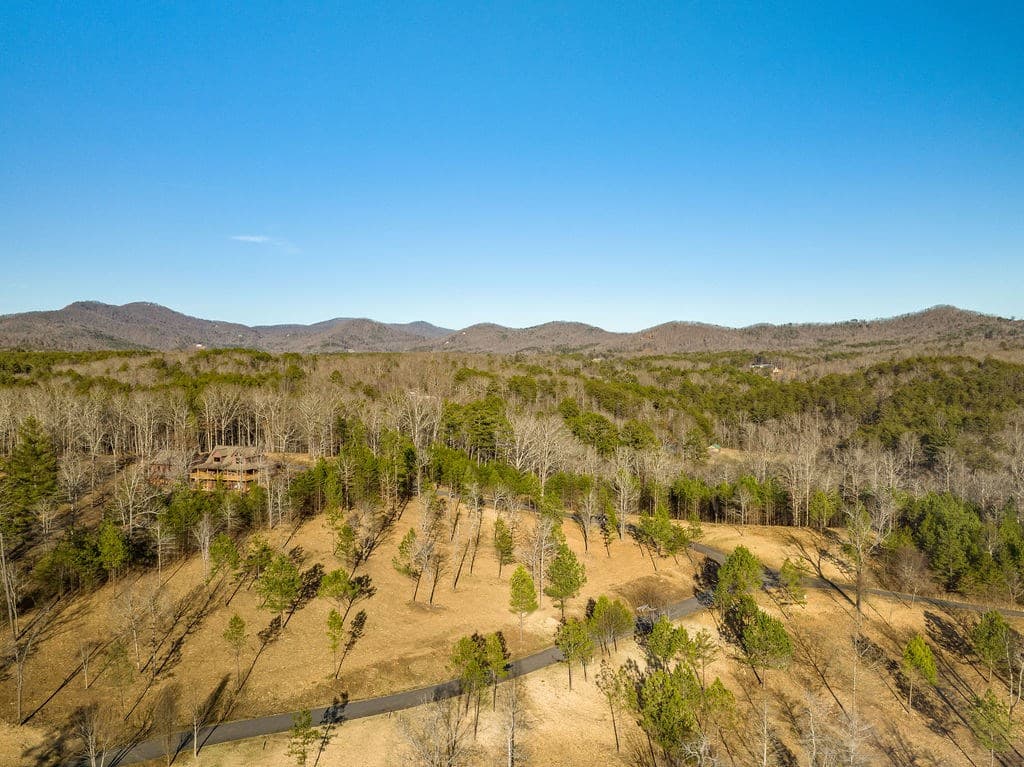 10 Arbor Creek Trail, Mineral Bluff GA 30559 - Photo