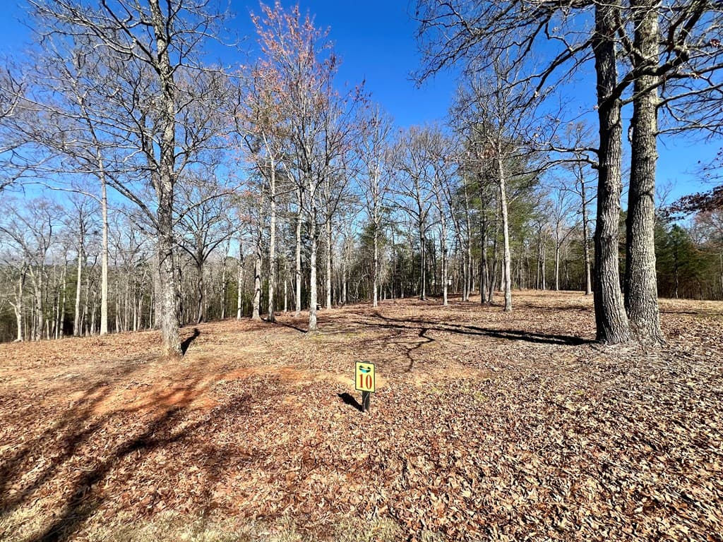 10 Arbor Creek Trail, Mineral Bluff GA 30559 - Photo