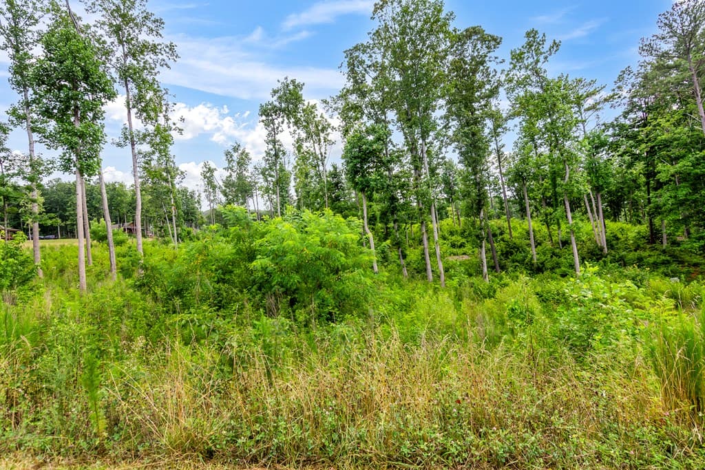 Lot 207 Oak Park Drive, Talking Rock GA 30175 - Photo