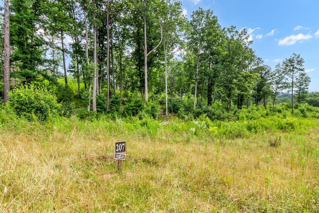 Lot 207 Oak Park Drive, Talking Rock GA 30175 - Primary photo