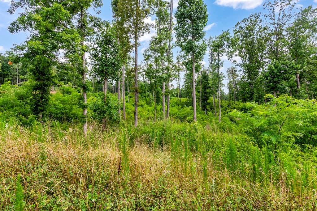 Lot 207 Oak Park Drive, Talking Rock GA 30175 - Photo