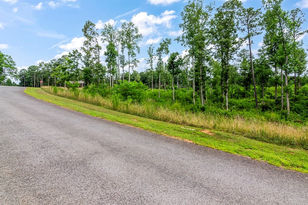 Lot 207 Oak Park Drive, Talking Rock GA 30175 - Photo