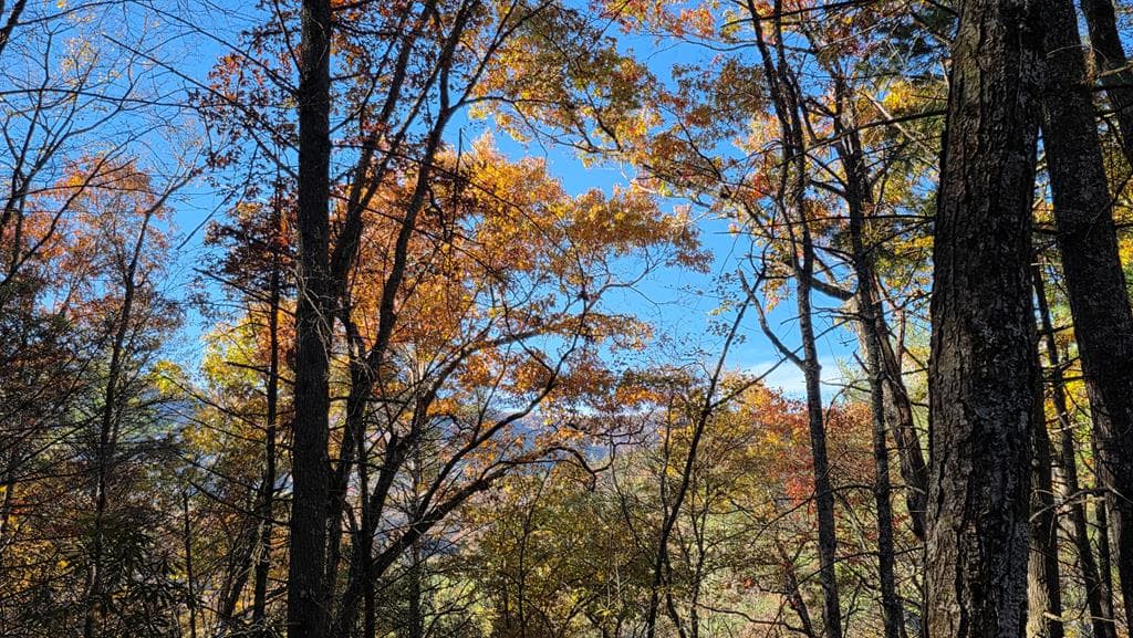 38 AC Tumbling Creek Road, Copperhill TN 37317 - Photo