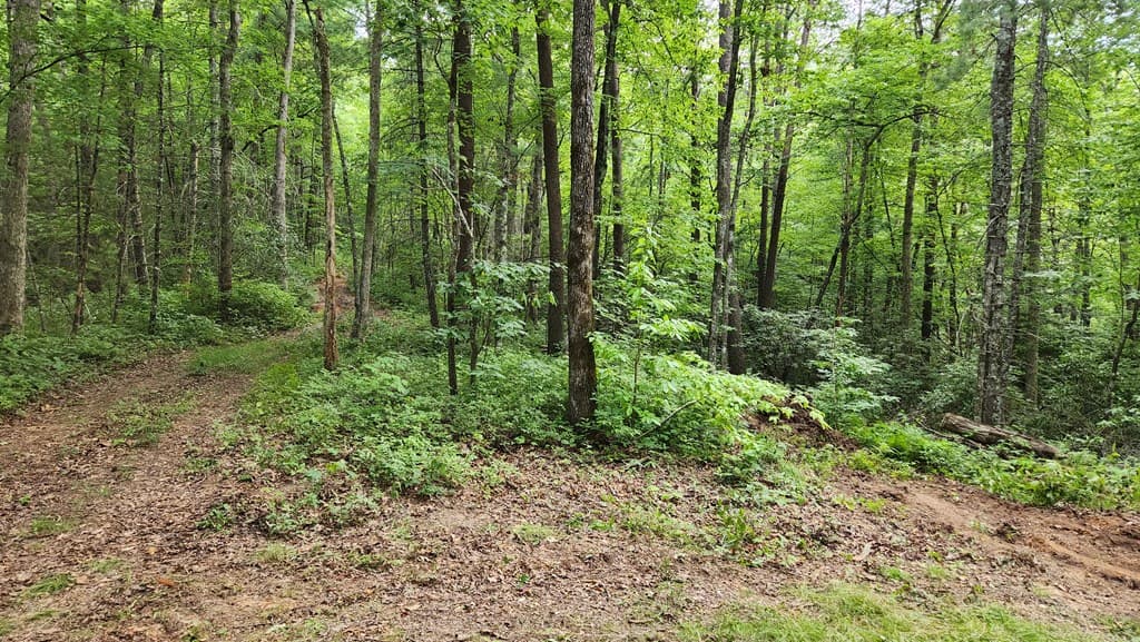38 AC Tumbling Creek Road, Copperhill TN 37317 - Photo