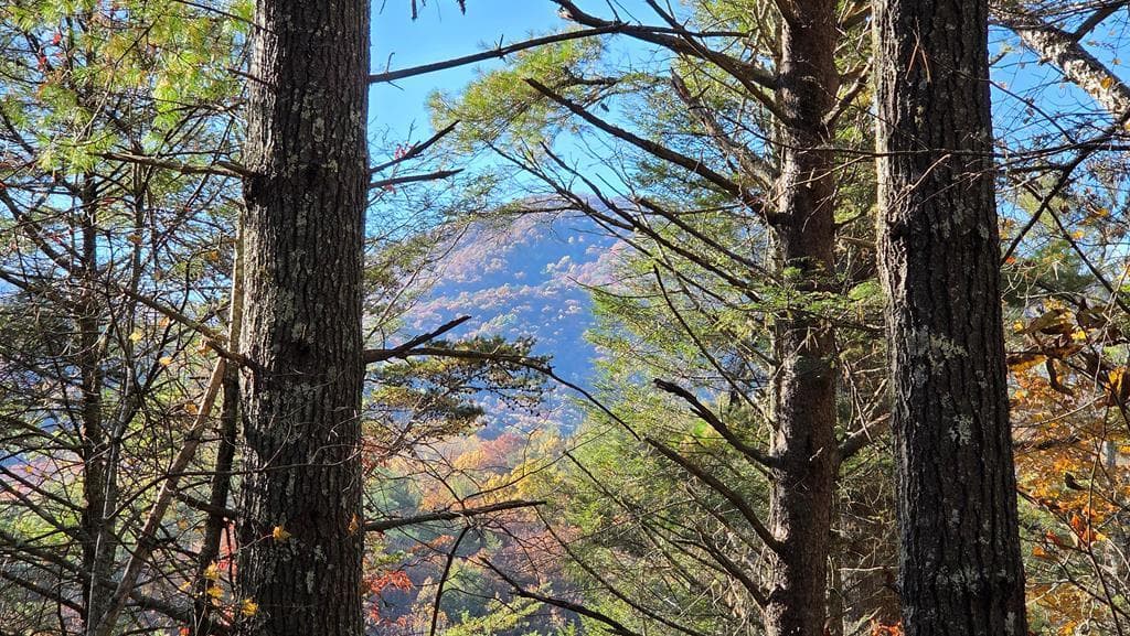 38 AC Tumbling Creek Road, Copperhill TN 37317 - Photo