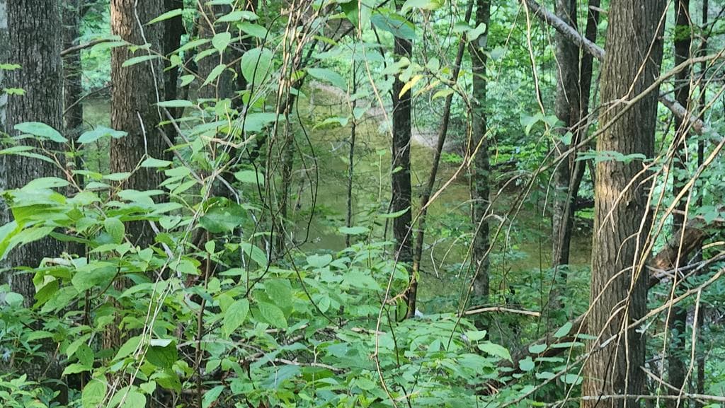38 AC Tumbling Creek Road, Copperhill TN 37317 - Photo