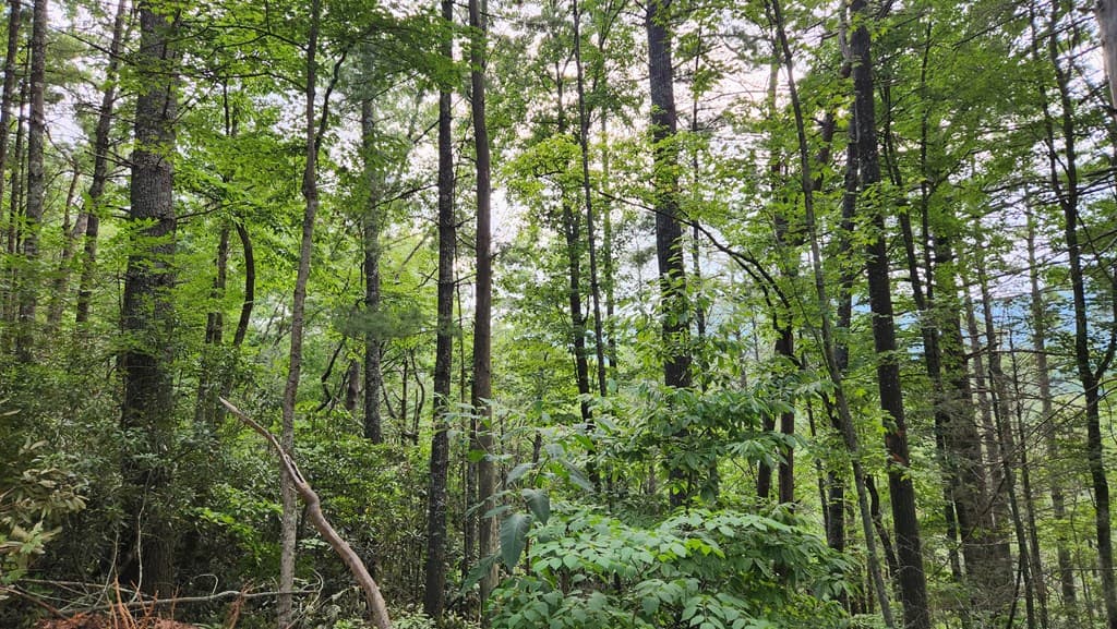38 AC Tumbling Creek Road, Copperhill TN 37317 - Photo