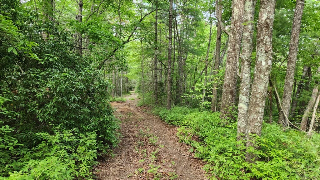 38 AC Tumbling Creek Road, Copperhill TN 37317 - Photo