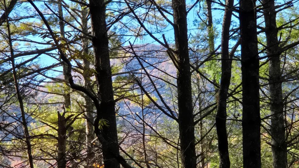 38 AC Tumbling Creek Road, Copperhill TN 37317 - Photo