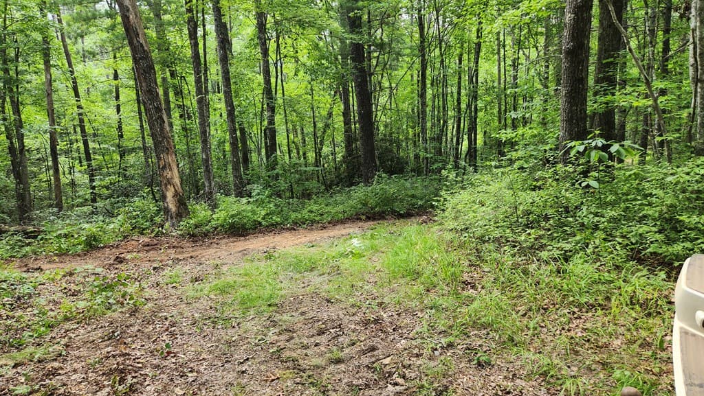38 AC Tumbling Creek Road, Copperhill TN 37317 - Photo