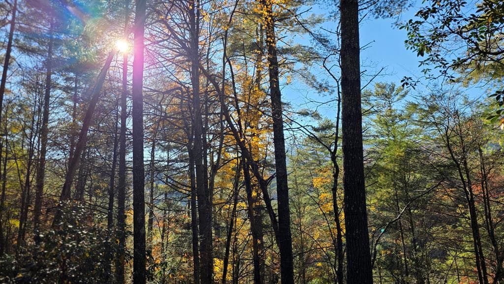 38 AC Tumbling Creek Road, Copperhill TN 37317 - Photo
