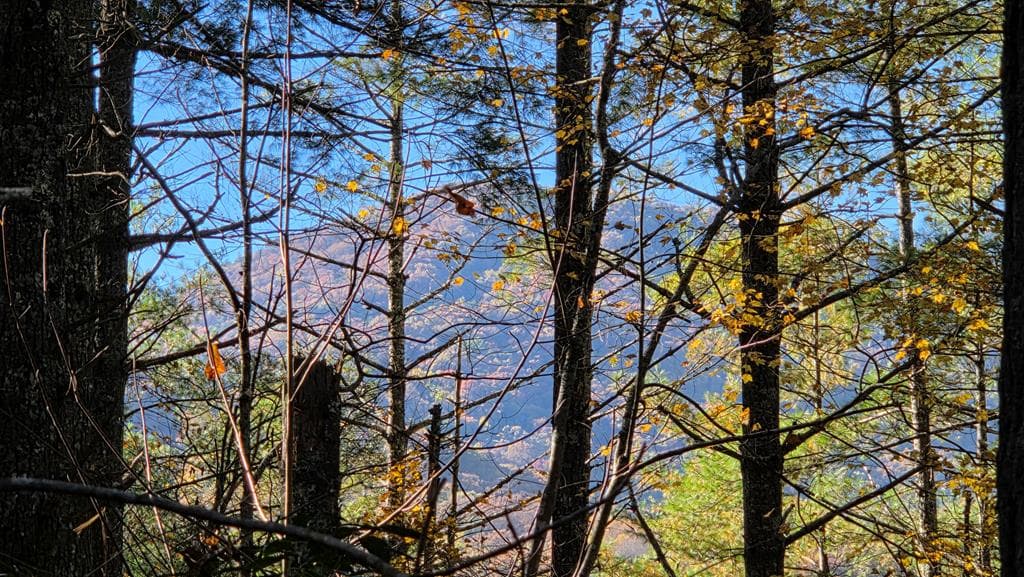 38 AC Tumbling Creek Road, Copperhill TN 37317 - Photo