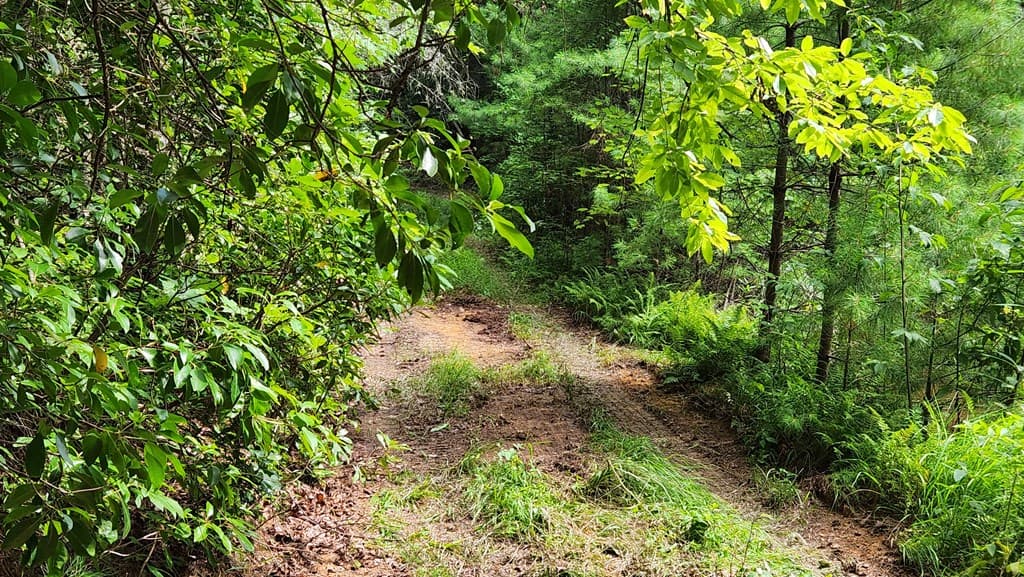38 AC Tumbling Creek Road, Copperhill TN 37317 - Photo