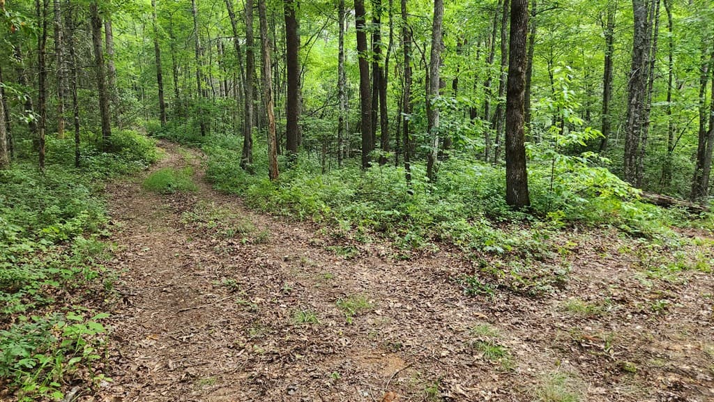 38 AC Tumbling Creek Road, Copperhill TN 37317 - Photo