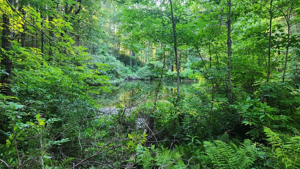 38 AC Tumbling Creek Road, Copperhill TN 37317 - Photo