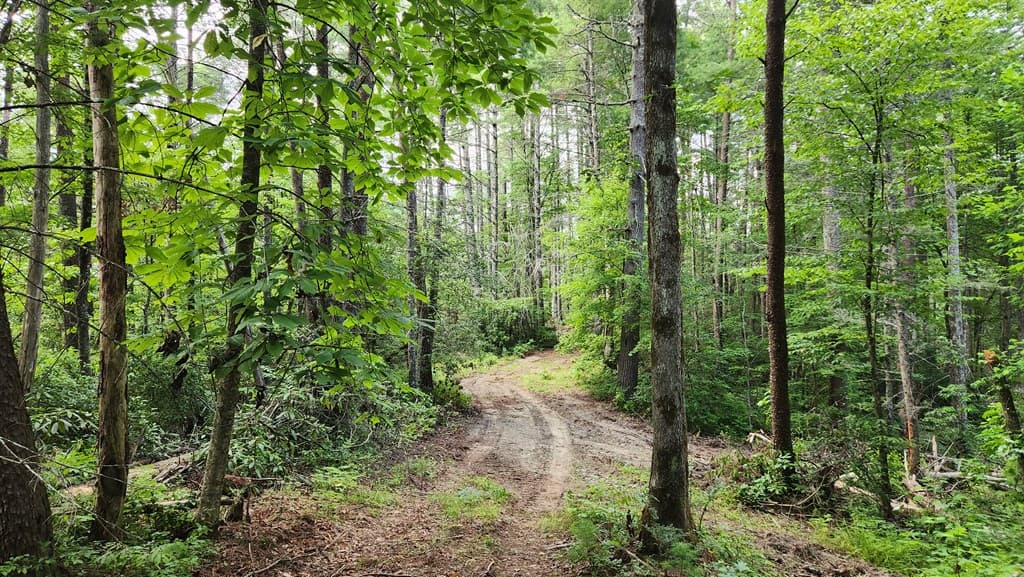 38 AC Tumbling Creek Road, Copperhill TN 37317 - Photo