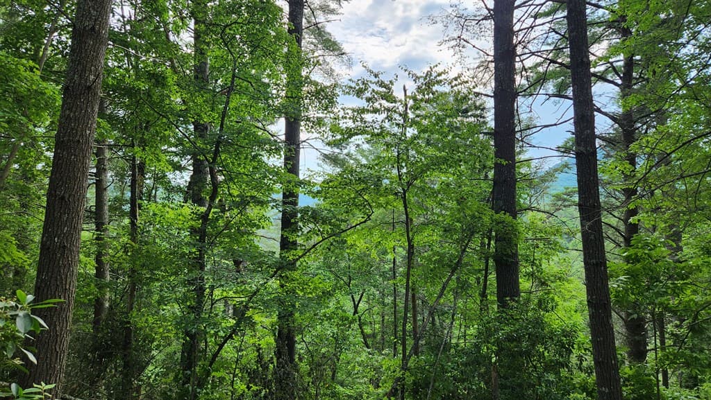 38 AC Tumbling Creek Road, Copperhill TN 37317 - Photo