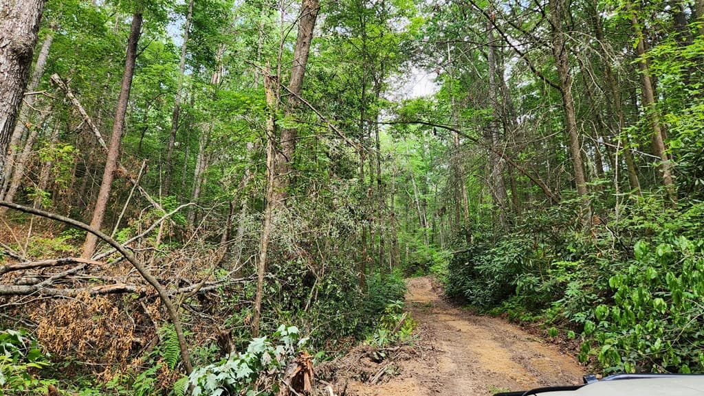 38 AC Tumbling Creek Road, Copperhill TN 37317 - Photo