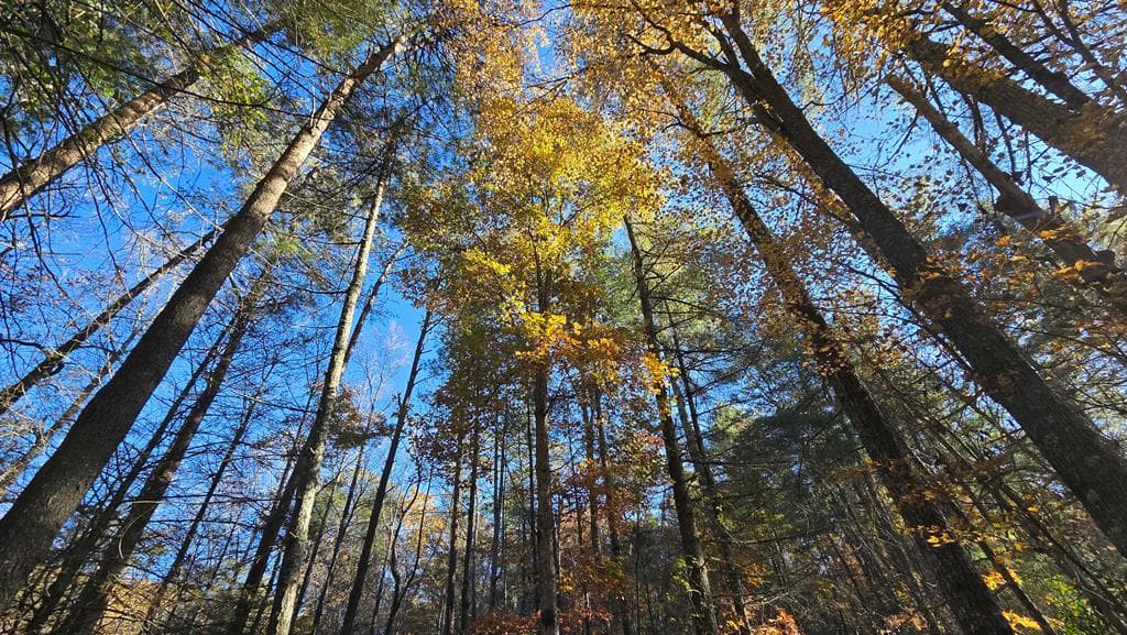 38 AC Tumbling Creek Road, Copperhill TN 37317 - Photo