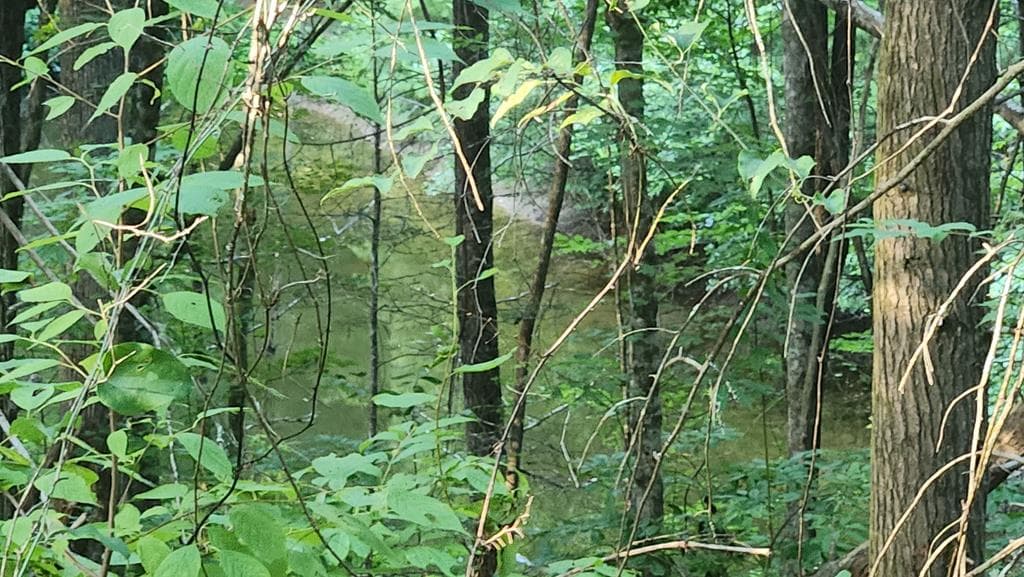 38 AC Tumbling Creek Road, Copperhill TN 37317 - Photo