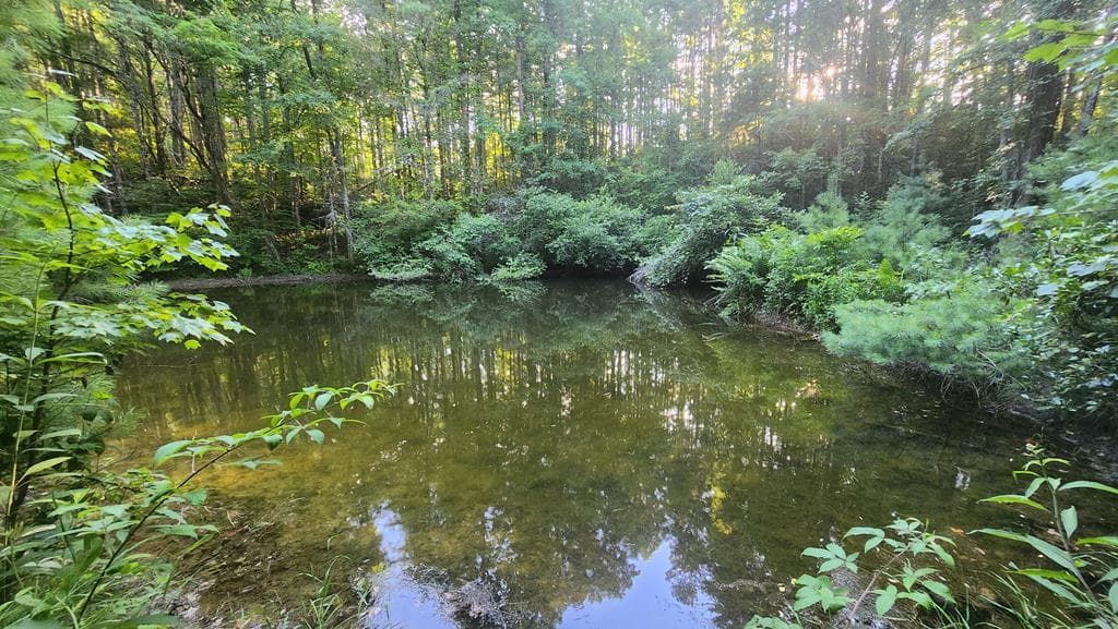 38 AC Tumbling Creek Road, Copperhill TN 37317 - Photo