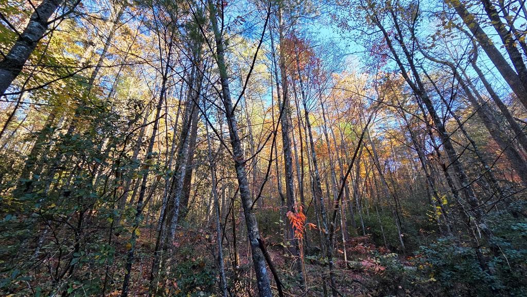 38 AC Tumbling Creek Road, Copperhill TN 37317 - Photo