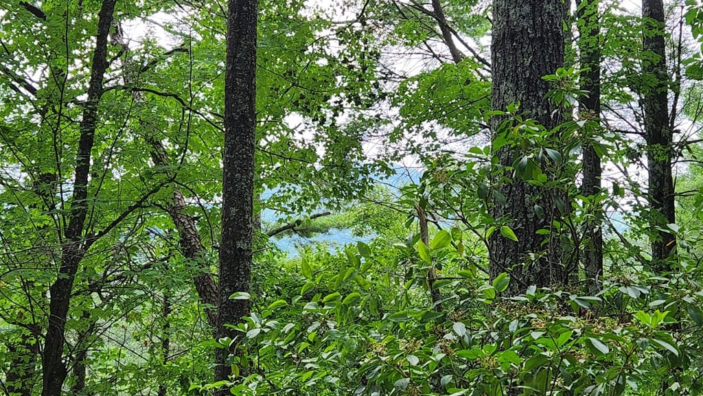 38 AC Tumbling Creek Road, Copperhill TN 37317 - Photo