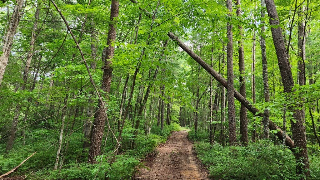 38 AC Tumbling Creek Road, Copperhill TN 37317 - Photo