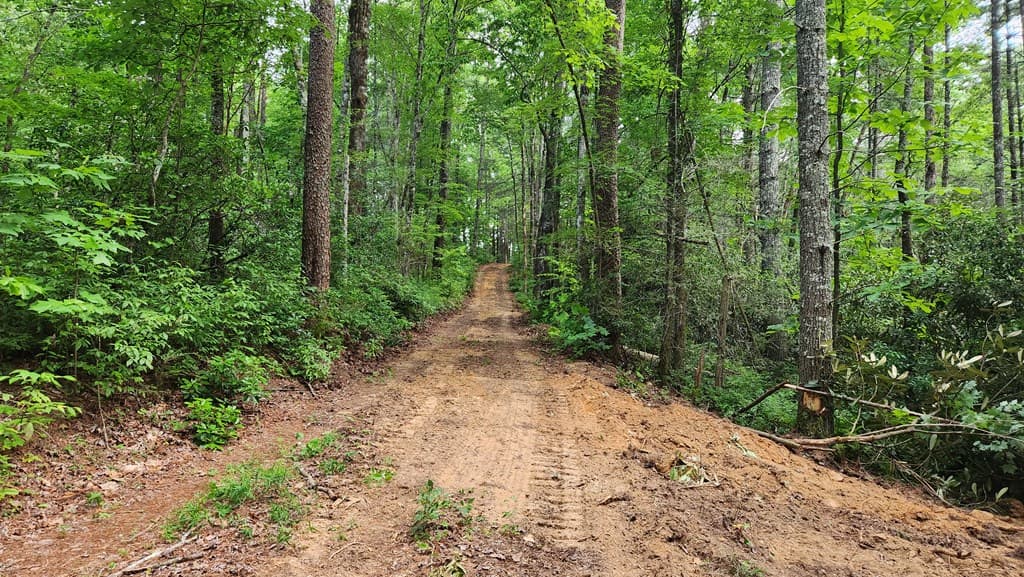 38 AC Tumbling Creek Road, Copperhill TN 37317 - Photo