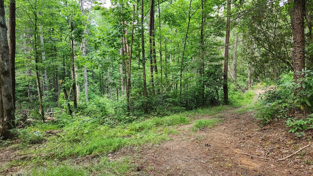 38 AC Tumbling Creek Road, Copperhill TN 37317 - Photo