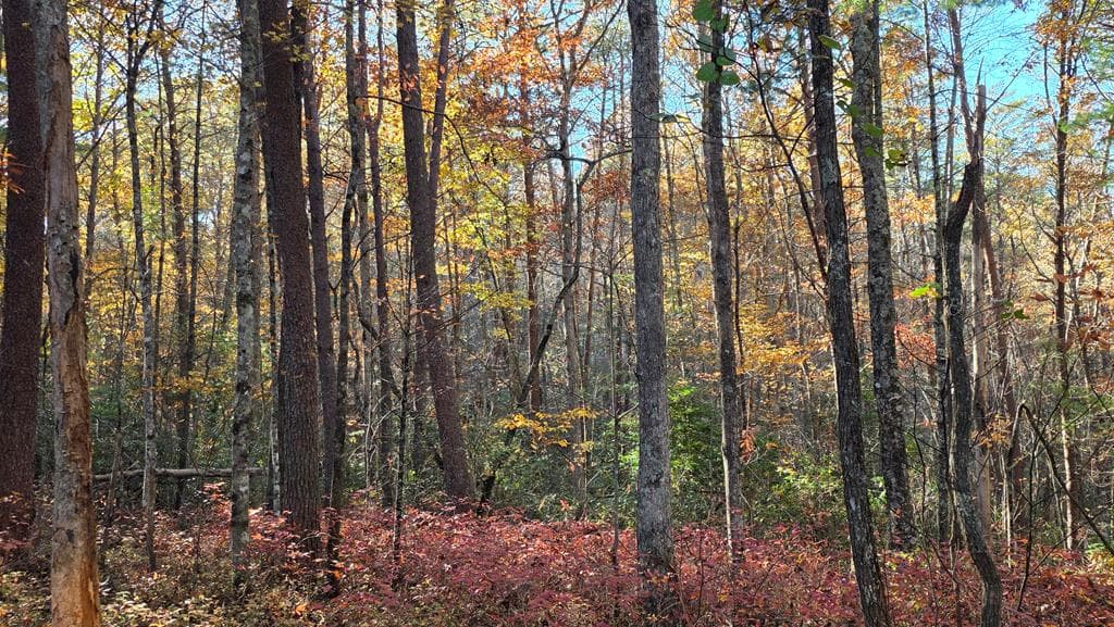 38 AC Tumbling Creek Road, Copperhill TN 37317 - Photo