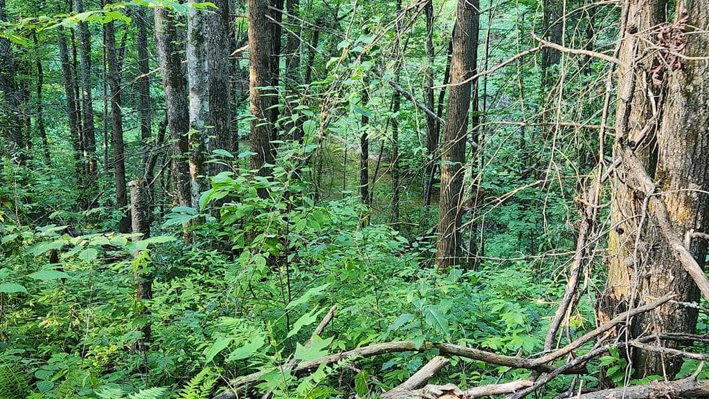 38 AC Tumbling Creek Road, Copperhill TN 37317 - Photo