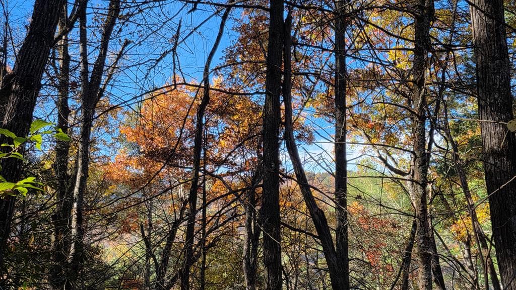 38 AC Tumbling Creek Road, Copperhill TN 37317 - Photo