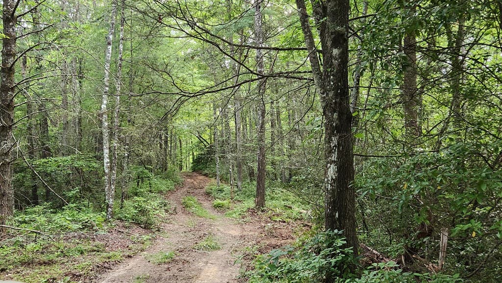 38 AC Tumbling Creek Road, Copperhill TN 37317 - Photo