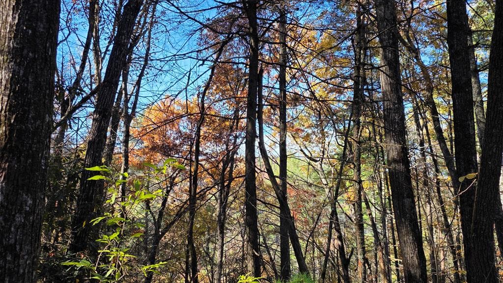 38 AC Tumbling Creek Road, Copperhill TN 37317 - Photo