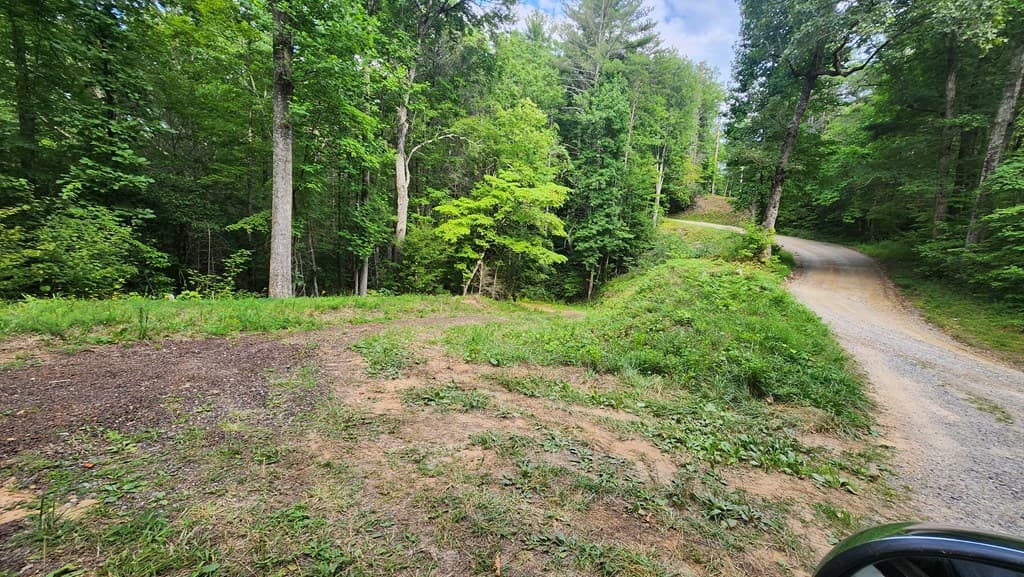38 AC Tumbling Creek Road, Copperhill TN 37317 - Photo