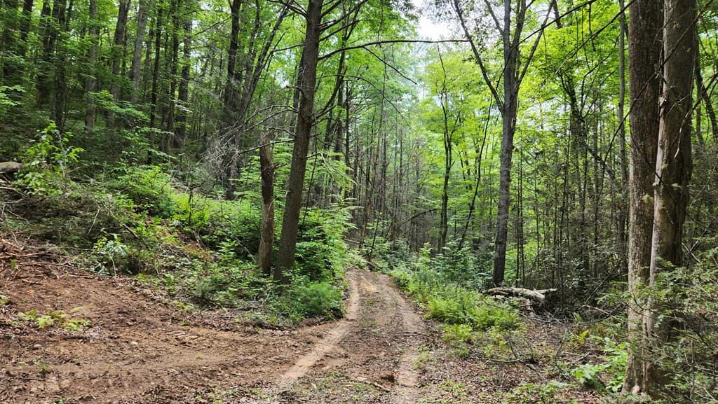 38 AC Tumbling Creek Road, Copperhill TN 37317 - Photo