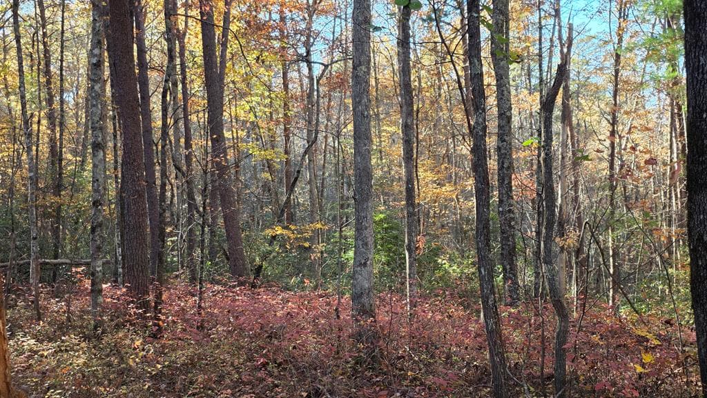 38 AC Tumbling Creek Road, Copperhill TN 37317 - Photo